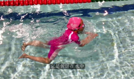 游泳教程初学者视频,视频教程全解析